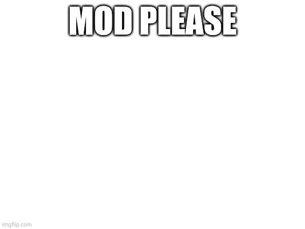 MOD PLEASE | made w/ Imgflip meme maker
