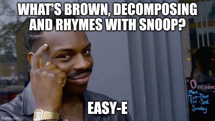 I reached back like a pimp an slapped the ho | WHAT'S BROWN, DECOMPOSING AND RHYMES WITH SNOOP? EASY-E | image tagged in memes,roll safe think about it | made w/ Imgflip meme maker
