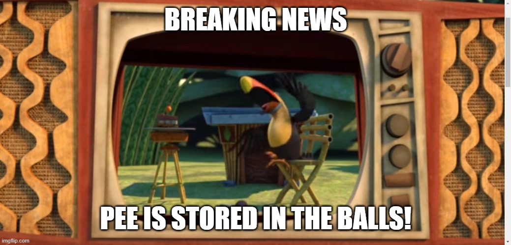 P inside N | BREAKING NEWS; PEE IS STORED IN THE BALLS! | image tagged in xixi screeming | made w/ Imgflip meme maker