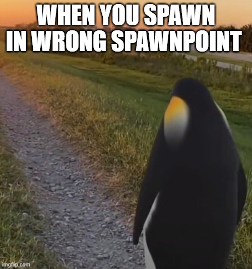 so annoying! | WHEN YOU SPAWN IN WRONG SPAWNPOINT | image tagged in gaming,funny,memes | made w/ Imgflip meme maker