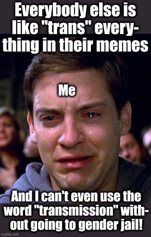 crying peter parker | Everybody else is like "trans" every-
thing in their memes And I can't even use the
word "transmission" with-
out going to gender jail! Me | image tagged in crying peter parker | made w/ Imgflip meme maker