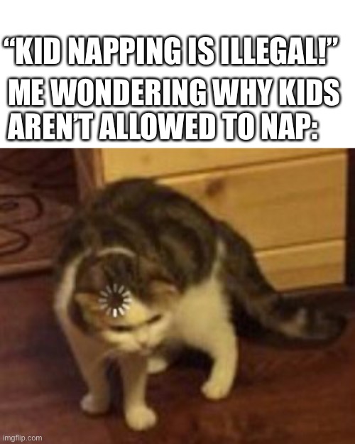 Bro that’s a stupid law | “KID NAPPING IS ILLEGAL!”; ME WONDERING WHY KIDS AREN’T ALLOWED TO NAP: | image tagged in loading cat,kidnapping,memes,funny | made w/ Imgflip meme maker