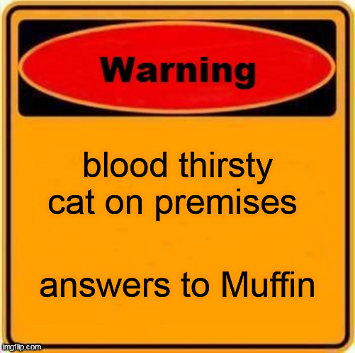 Warning Sign | blood thirsty cat on premises; answers to Muffin | image tagged in memes,warning sign | made w/ Imgflip meme maker