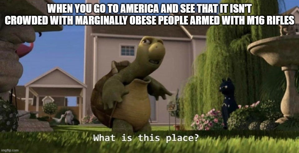 What is this place? | WHEN YOU GO TO AMERICA AND SEE THAT IT ISN'T CROWDED WITH MARGINALLY OBESE PEOPLE ARMED WITH M16 RIFLES | image tagged in what is this place | made w/ Imgflip meme maker