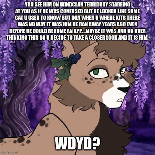 i hope this one gets more ppl my last one didnt maybe if u like hollyleaf check that one out btw no erp romance is ok with any g | YOU SEE HIM ON WINDCLAN TERRITORY STARING AT YOU AS IF HE WAS CONFUSED BUT HE LOOKED LIKE SOME CAT U USED TO KNOW BUT ONLY WHEN U WHERE KITS THERE WAS NO WAY IT WAS HIM HE RAN AWAY YEARS AGO EVEN BEFORE HE COULD BECOME AN APP....MAYBE IT WAS AND UR OVER THINKING THIS SO U DECIDE TO TAKE A CLOSER LOOK AND IT IS HIM. WDYD? | made w/ Imgflip meme maker