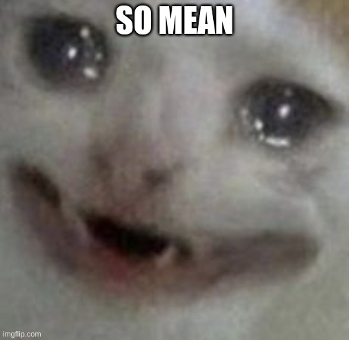 crying cat | SO MEAN | image tagged in crying cat | made w/ Imgflip meme maker