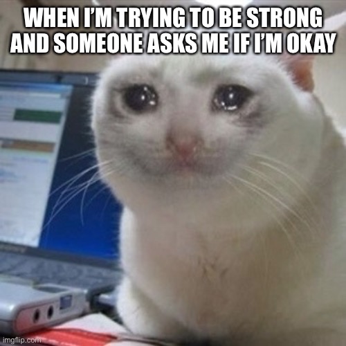 Crying cat | WHEN I’M TRYING TO BE STRONG AND SOMEONE ASKS ME IF I’M OKAY | image tagged in crying cat | made w/ Imgflip meme maker
