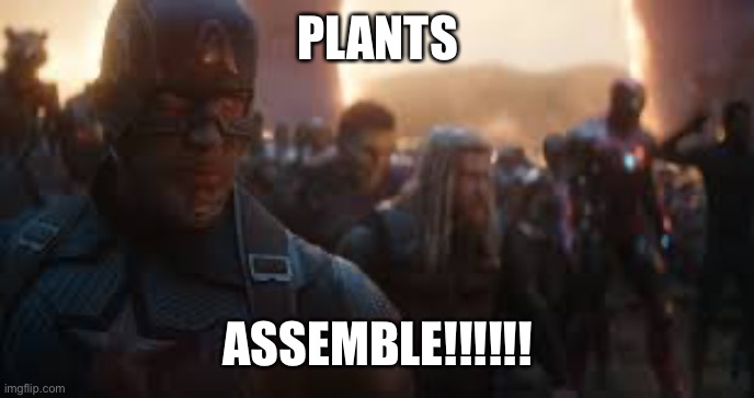 Avengers Assemble | PLANTS ASSEMBLE!!!!!! | image tagged in avengers assemble | made w/ Imgflip meme maker