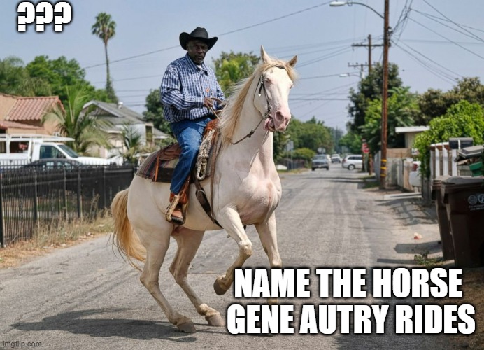 compton cowboy | ??? NAME THE HORSE 
GENE AUTRY RIDES | image tagged in compton cowboy | made w/ Imgflip meme maker