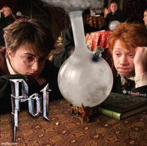image tagged in harry potter | made w/ Imgflip meme maker