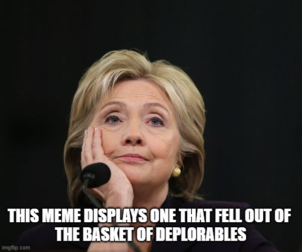 hillary clinton Benghazi party fractured split Democratic factio | THIS MEME DISPLAYS ONE THAT FELL OUT OF 
THE BASKET OF DEPLORABLES | image tagged in hillary clinton benghazi party fractured split democratic factio | made w/ Imgflip meme maker