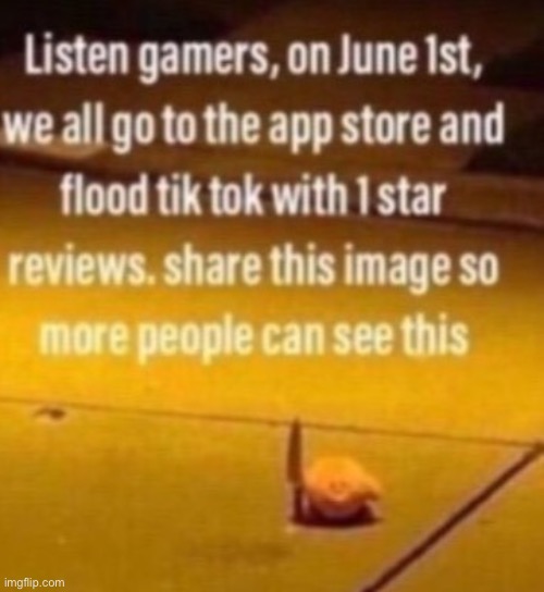 I saw this while scrolling I don’t dislike tik tok I just want to sevthevworld burn please reshare | made w/ Imgflip meme maker