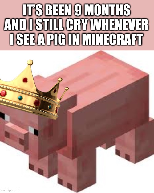 Minecraft pig | IT’S BEEN 9 MONTHS AND I STILL CRY WHENEVER I SEE A PIG IN MINECRAFT | image tagged in minecraft pig | made w/ Imgflip meme maker