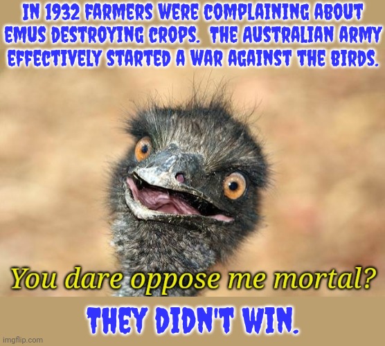 No humans were harmed in the making of this meme. | In 1932 farmers were complaining about emus destroying crops.  The Australian army
effectively started a war against the birds. They didn't win. | image tagged in emu you dare oppose me mortal,animal rights,mother nature,karma | made w/ Imgflip meme maker