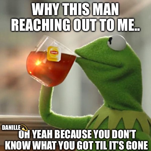 Danille | WHY THIS MAN REACHING OUT TO ME.. OH YEAH BECAUSE YOU DON’T KNOW WHAT YOU GOT TIL IT’S GONE; DANILLE💫 | image tagged in memes,but that's none of my business,kermit the frog | made w/ Imgflip meme maker