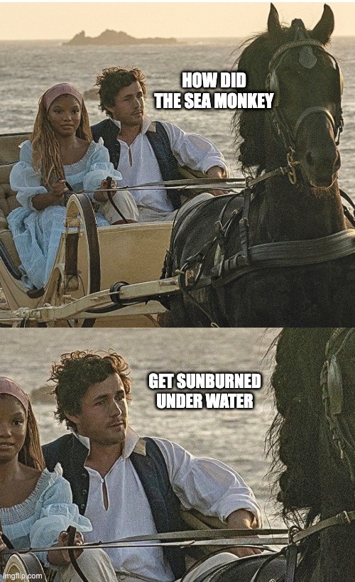Prince Eric dumbfounded | HOW DID THE SEA MONKEY; GET SUNBURNED UNDER WATER | image tagged in make your own meme,ariel,prince | made w/ Imgflip meme maker