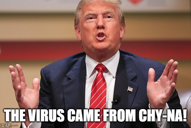 Donald Trump Huge | THE VIRUS CAME FROM CHY-NA! | image tagged in donald trump huge | made w/ Imgflip meme maker