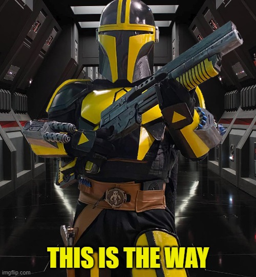 this is the way | THIS IS THE WAY | image tagged in mandalorian,star wars,cosplay | made w/ Imgflip meme maker