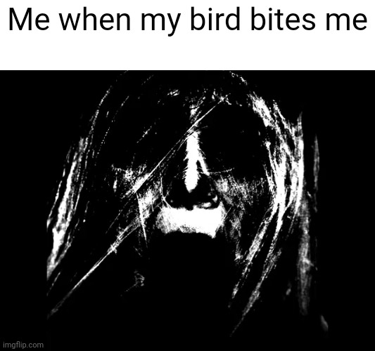 a bird bite is worser than a snake bite | Me when my bird bites me | image tagged in phase 25 | made w/ Imgflip meme maker