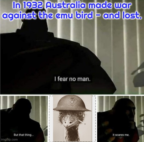 It's not nice to fool with Mother Nature. | In 1932 Australia made war against the emu bird - and lost. | image tagged in i fear no man,animal attack,unexpected results,how did this happen | made w/ Imgflip meme maker