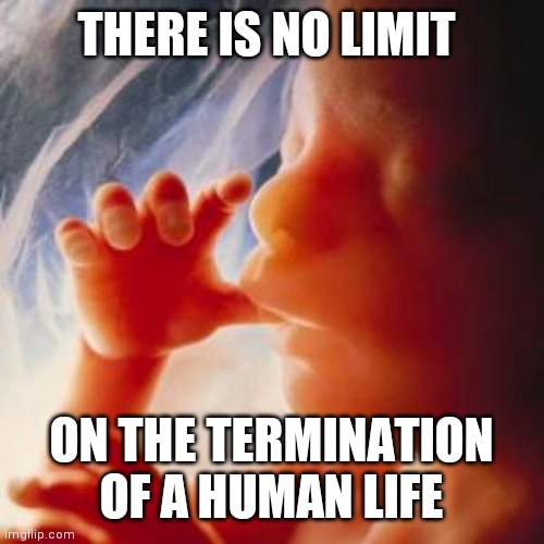 Where is the middle ground? | THERE IS NO LIMIT; ON THE TERMINATION OF A HUMAN LIFE | image tagged in fetus,demons | made w/ Imgflip meme maker