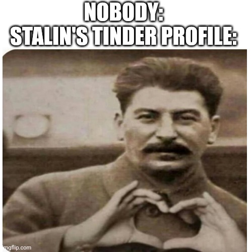 Never thought Stalin would have a tinder profile | NOBODY:
STALIN'S TINDER PROFILE: | image tagged in joseph stalin,memes,wholesome,tinder | made w/ Imgflip meme maker