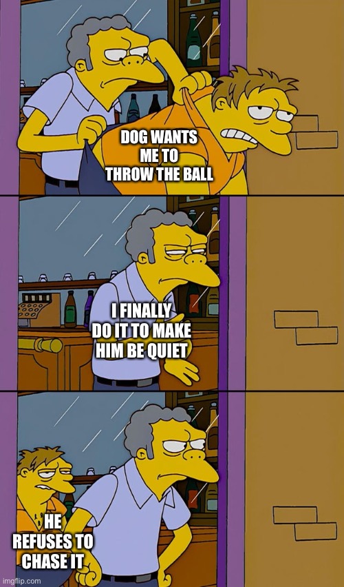 Same problem. | DOG WANTS ME TO THROW THE BALL; I FINALLY DO IT TO MAKE HIM BE QUIET; HE REFUSES TO CHASE IT | image tagged in moe throws barney,pets,dog,fetch,why | made w/ Imgflip meme maker