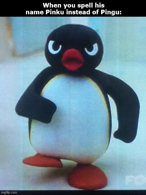Pingu or Pinku - I've Been Told There's a Difference | When you spell his name Pinku instead of Pingu: | image tagged in pingu,angry pingu,animation,meme,memes,funny | made w/ Imgflip meme maker