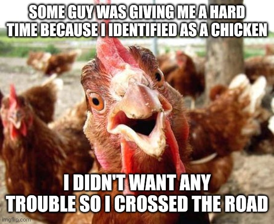 Chicken | SOME GUY WAS GIVING ME A HARD TIME BECAUSE I IDENTIFIED AS A CHICKEN; I DIDN'T WANT ANY TROUBLE SO I CROSSED THE ROAD | image tagged in chicken | made w/ Imgflip meme maker