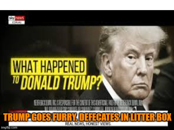 TRUMP GOES FURRY. DEFECATES IN LITTER BOX | made w/ Imgflip meme maker