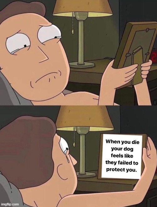 image tagged in memes | made w/ Imgflip meme maker