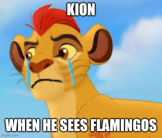 It is already proven | KION; WHEN HE SEES FLAMINGOS | image tagged in crying kion crybaby,the lion guard,lion guard,us-president-joe-biden,funny | made w/ Imgflip meme maker