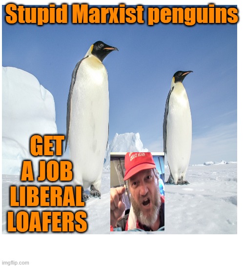 Stupid Marxist penguins GET A JOB LIBERAL LOAFERS | made w/ Imgflip meme maker