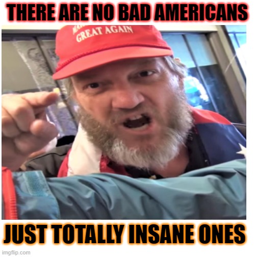 THERE ARE NO BAD AMERICANS JUST TOTALLY INSANE ONES | made w/ Imgflip meme maker