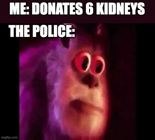 Sully Groan | ME: DONATES 6 KIDNEYS; THE POLICE: | image tagged in sully groan | made w/ Imgflip meme maker