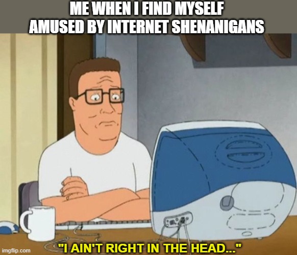 hank hill computer | ME WHEN I FIND MYSELF AMUSED BY INTERNET SHENANIGANS; "I AIN'T RIGHT IN THE HEAD..." | image tagged in hank hill computer | made w/ Imgflip meme maker