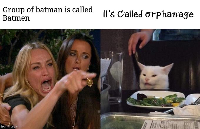 Poor Bruce Wayne | Group of batman is called 
Batmen; It's Called orphanage | image tagged in memes,woman yelling at cat,funny | made w/ Imgflip meme maker