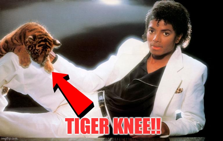 Tiger Knee | TIGER KNEE!! | image tagged in michael jackson,street fighter,knee,tiger | made w/ Imgflip meme maker