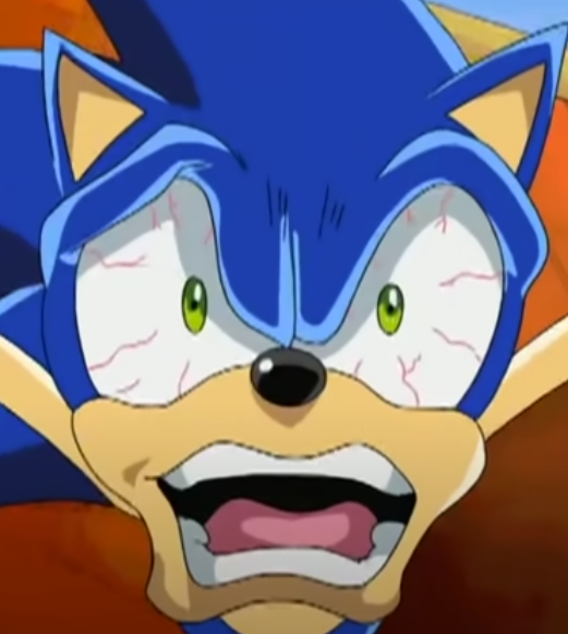 High Quality sonic x bro- Blank Meme Template