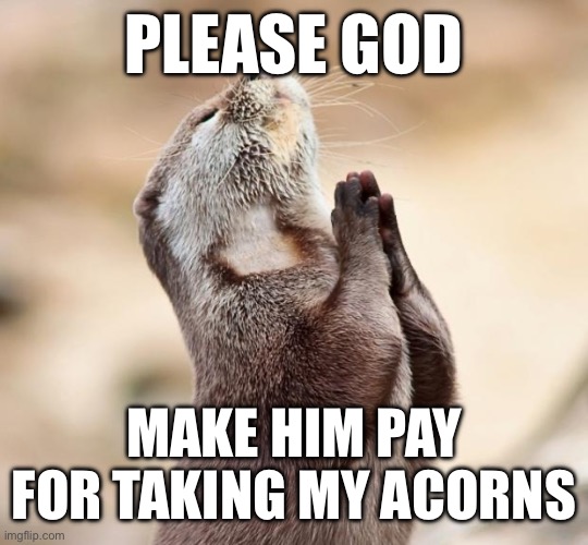Pray | PLEASE GOD; MAKE HIM PAY FOR TAKING MY ACORNS | image tagged in animal praying | made w/ Imgflip meme maker