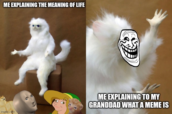 lol. My granddad still has no idea what a meme is. | ME EXPLAINING THE MEANING OF LIFE; ME EXPLAINING TO MY GRANDDAD WHAT A MEME IS | image tagged in memes,persian cat room guardian,funny,cats,funny memes,lol so funny | made w/ Imgflip meme maker