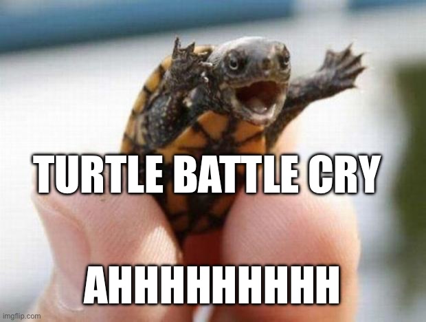 It’s a turtle | TURTLE BATTLE CRY; AHHHHHHHHH | image tagged in happy baby turtle | made w/ Imgflip meme maker