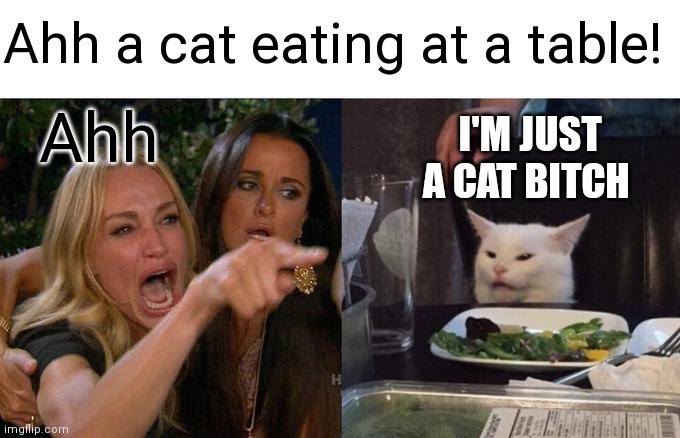 Overreacting Lady | Ahh a cat eating at a table! Ahh; I'M JUST A CAT BITCH | image tagged in memes,woman yelling at cat,funny memes,crazy,crazy lady | made w/ Imgflip meme maker