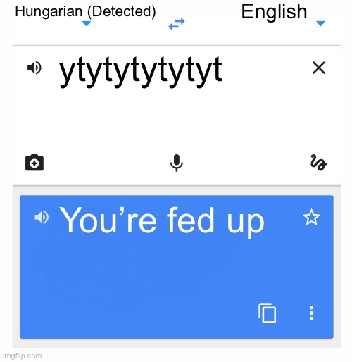 Try it | Hungarian (Detected); English; ytytytytytyt; You’re fed up | image tagged in google translate | made w/ Imgflip meme maker
