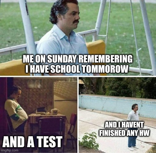 me on sundays | ME ON SUNDAY REMEMBERING I HAVE SCHOOL TOMMOROW; AND A TEST; AND I HAVENT FINISHED ANY HW | image tagged in forever alone,funny,memes,school,sunday,homework | made w/ Imgflip meme maker
