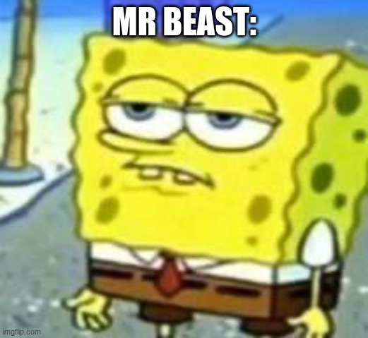 spongebob bruh | MR BEAST: | image tagged in spongebob bruh | made w/ Imgflip meme maker