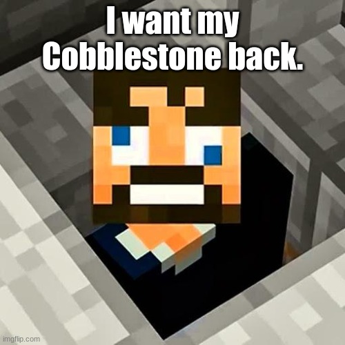 Give it back | I want my Cobblestone back. | image tagged in ssundee | made w/ Imgflip meme maker