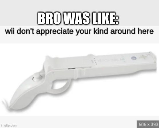 Wii don't appreciate your kind around here | BRO WAS LIKE: | image tagged in wii don't appreciate your kind around here | made w/ Imgflip meme maker