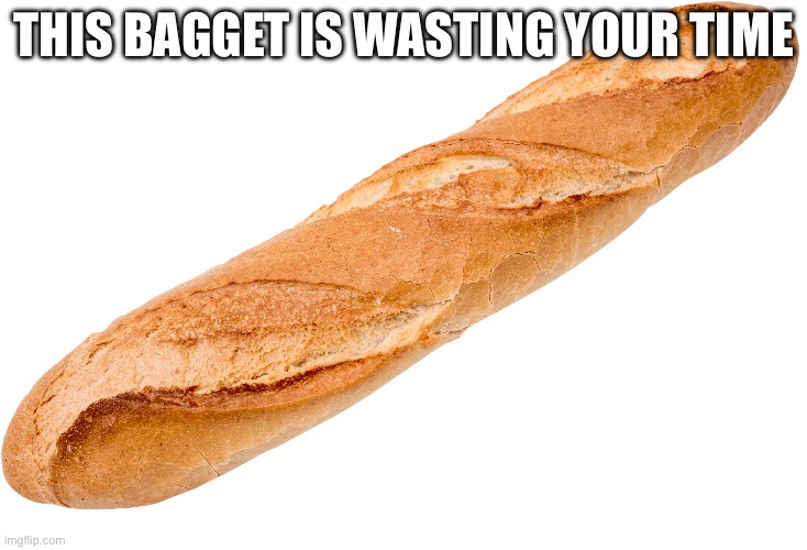 Baggette | THIS BAGGET IS WASTING YOUR TIME | image tagged in baggette | made w/ Imgflip meme maker