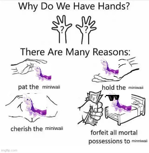 why do we have hands (COS) | miniwaii; miniwaii; miniwaii; minniwaii | image tagged in why do we have hands all blank | made w/ Imgflip meme maker